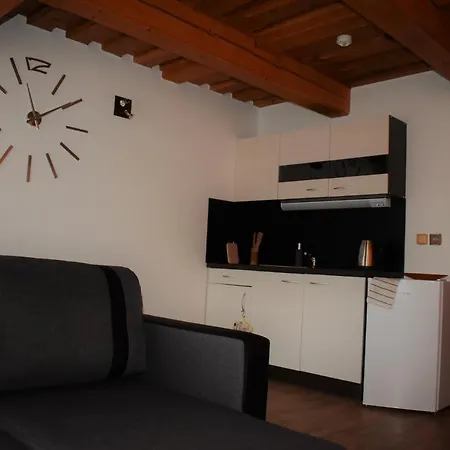 Roubenka 3* Tyniste nad Orlici