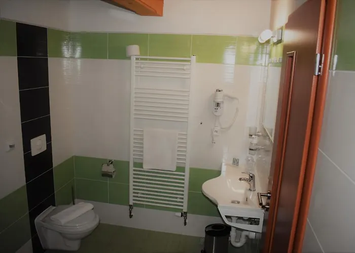 Roubenka Hotel Tyniste nad Orlici